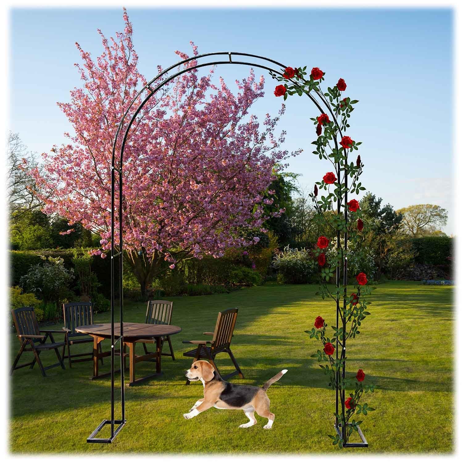 Arco per Rose rampicanti, arco da giardino con base Arco per matrimoni metallo larghezza 200cm 260cm 300cm altezz 220cm 230cm per Esterno Giardino Feste di Decor(80x220cm)