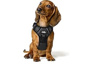 TwoEar Dog Harness, No Pull Dog Harness For Dachshund