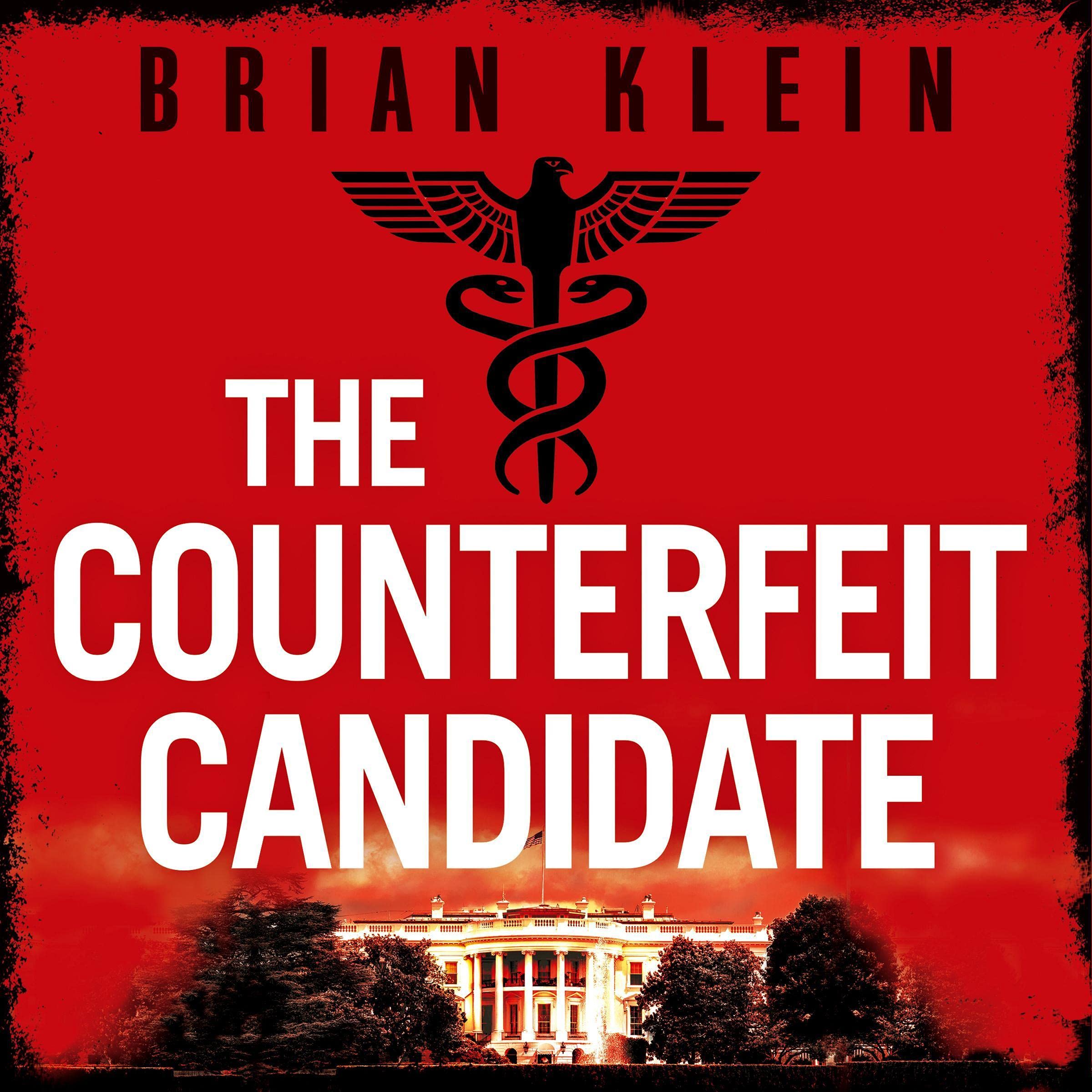 Cover art for The Counterfeit Candidate