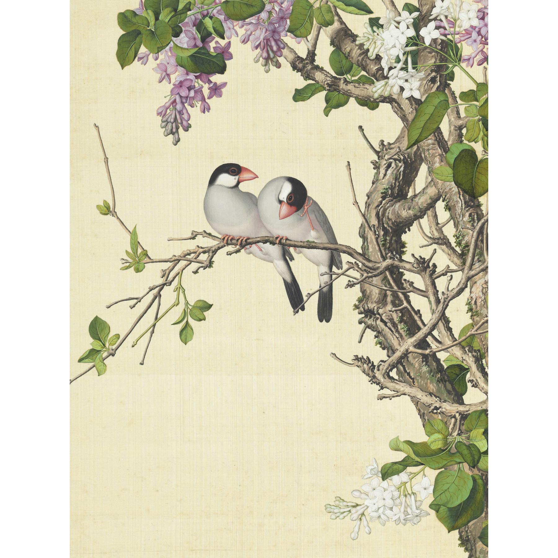 Castiglione Syringa Birds Tree Painting Large Print Poster Wall Art Decor Picture
