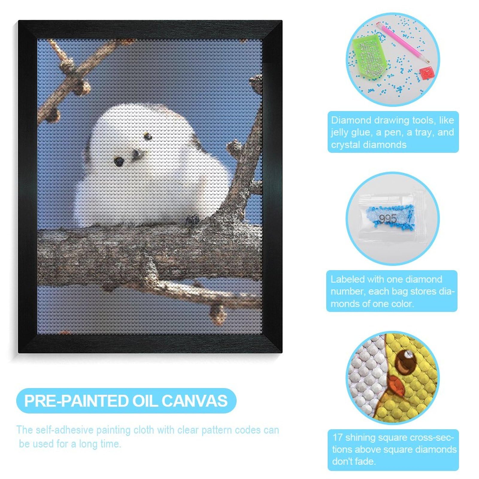 Amazon | シマエナガ 鳥柄 ダイヤモンドアート 5D ビーズアート ビーズ