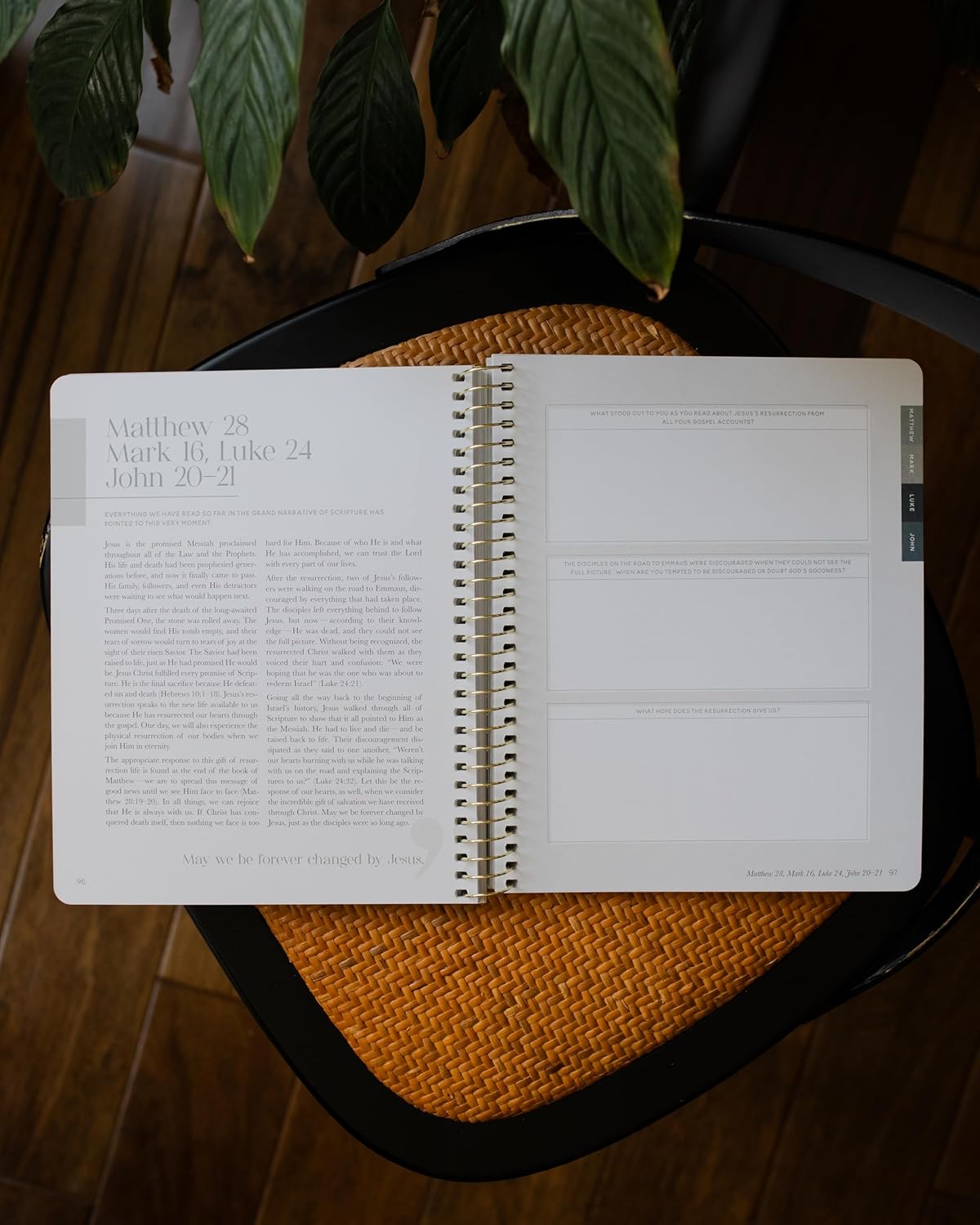 Eden to Eternity | The Chronological Story of Scripture | Volume 4 (Spiral Bound) - Image 3