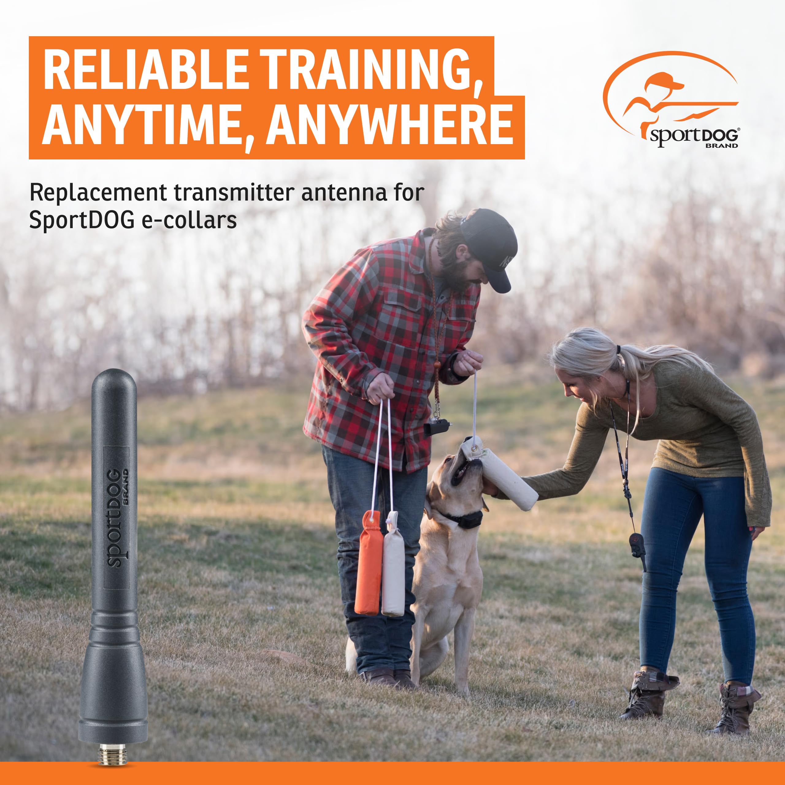 SportDOG Brand Ersatzantenne für E-Collar-Modelle – SD-800, SD-825, SD-1225, SD-1825, SD-1825CAMO und SD-3225