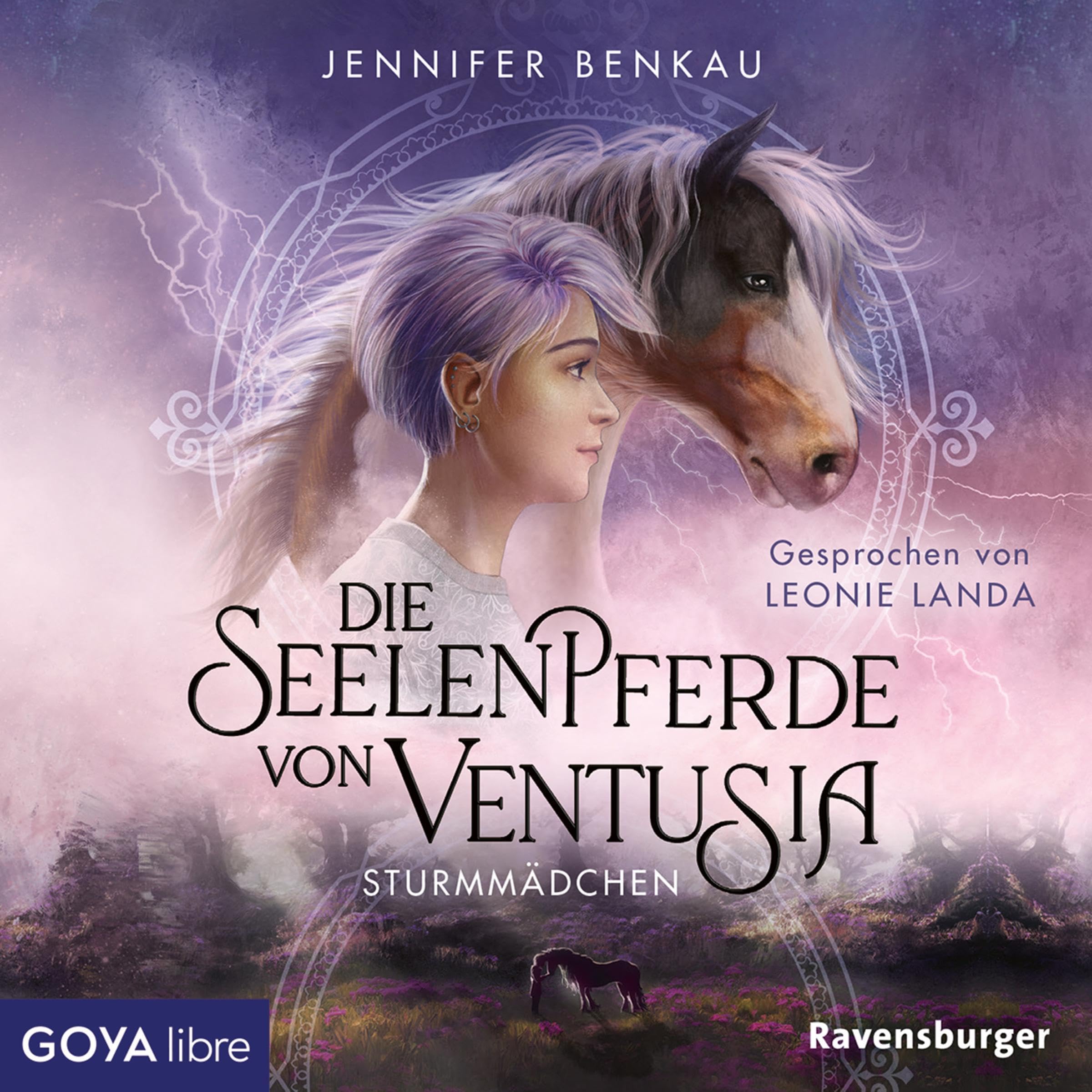 Cover art for Sturmmädchen