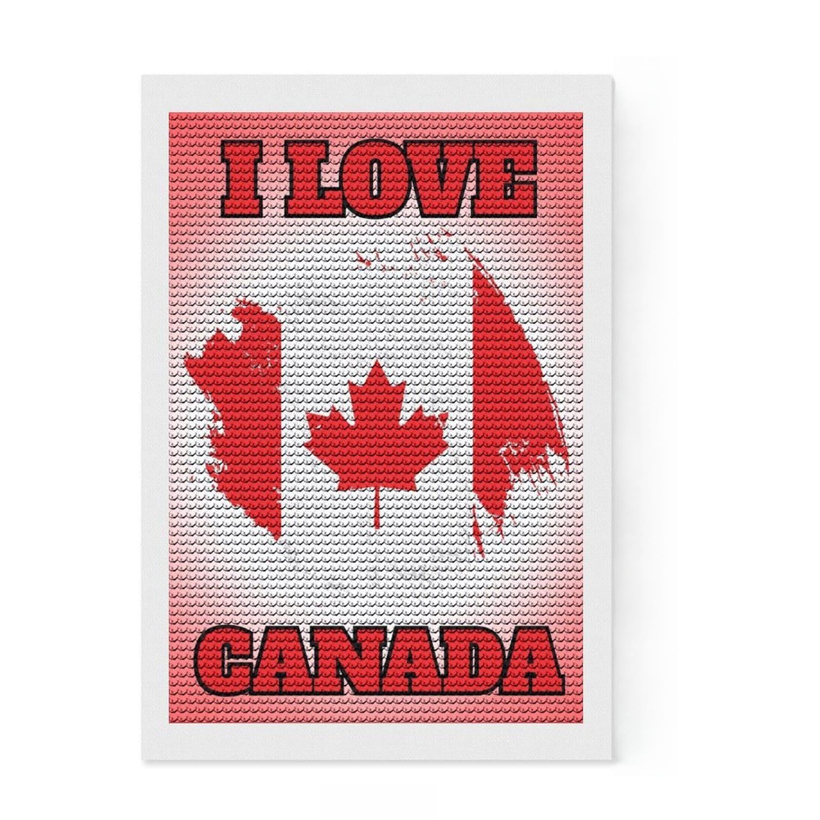 Junmoney Canada Flag Round Drill Diamond Painting 8"x12", Winter Craft, Boho Decor, for Adults, Home Wall Art, Full Kit Included