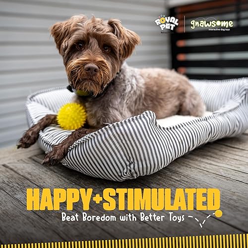 Miniatura 5 de Gnawsome Squeak and Light Fútbol, multicolor, 2.5 pulgadas, 10010, 1 unidad