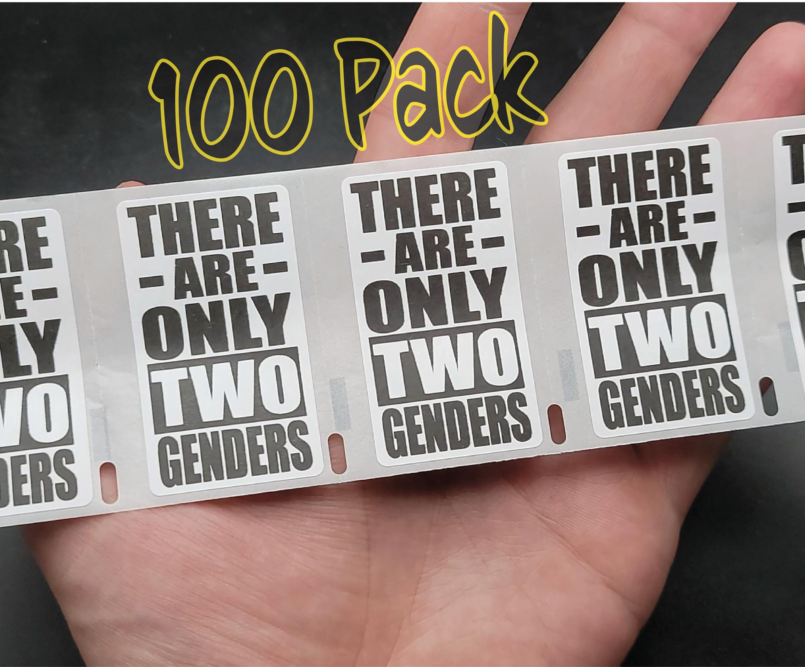 100PCS There are ONLY Two Genders Stickers Bulk lot Decals Labels
