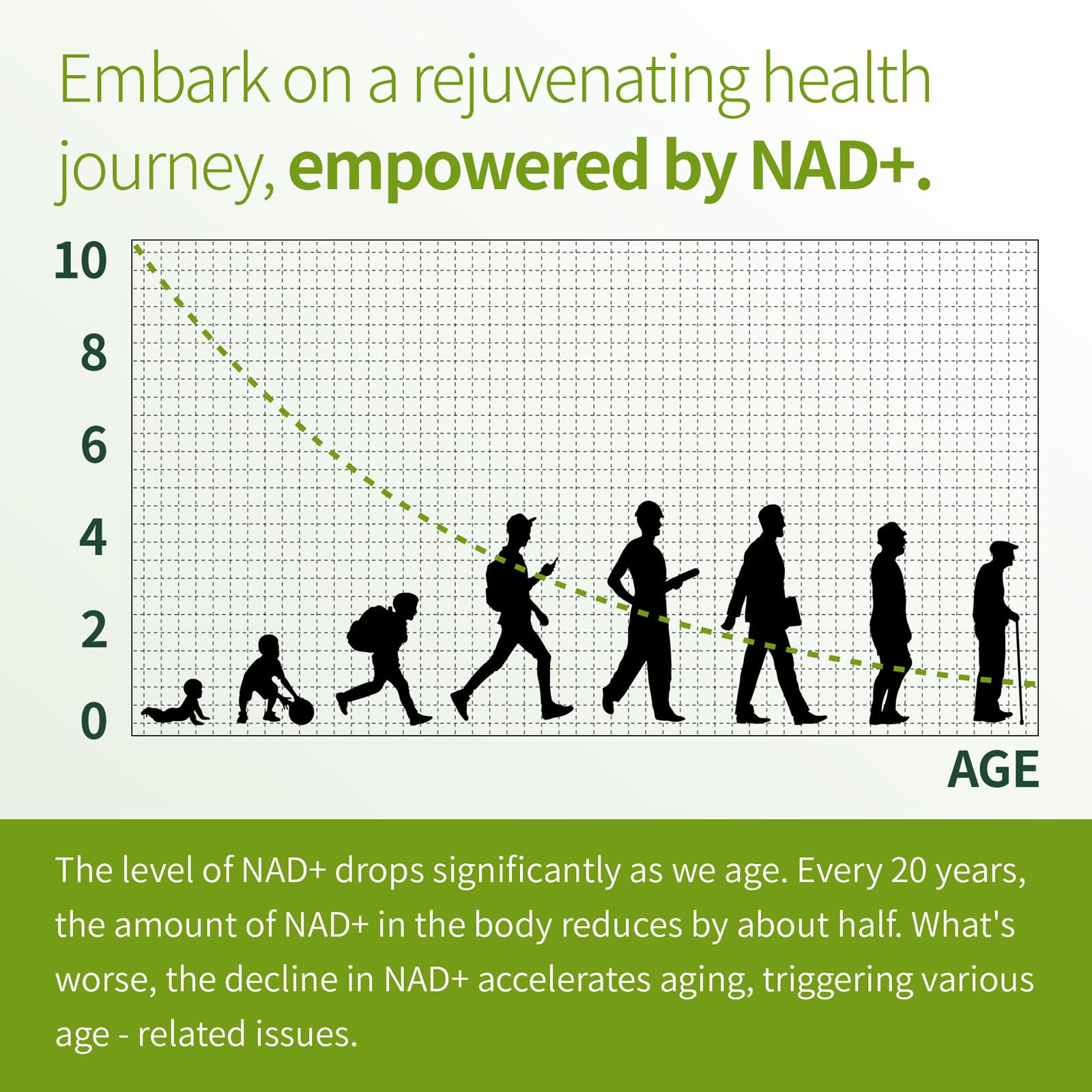 Premium NAD+ Supplement - Nicotinamide Riboside & Resveratrol 900mg – Fast-Absorbing Cellular Renewal Capsules for Energy, Anti-Aging & Brain Health – Vegan, Non-GMO, 200 C — Amazon image 6