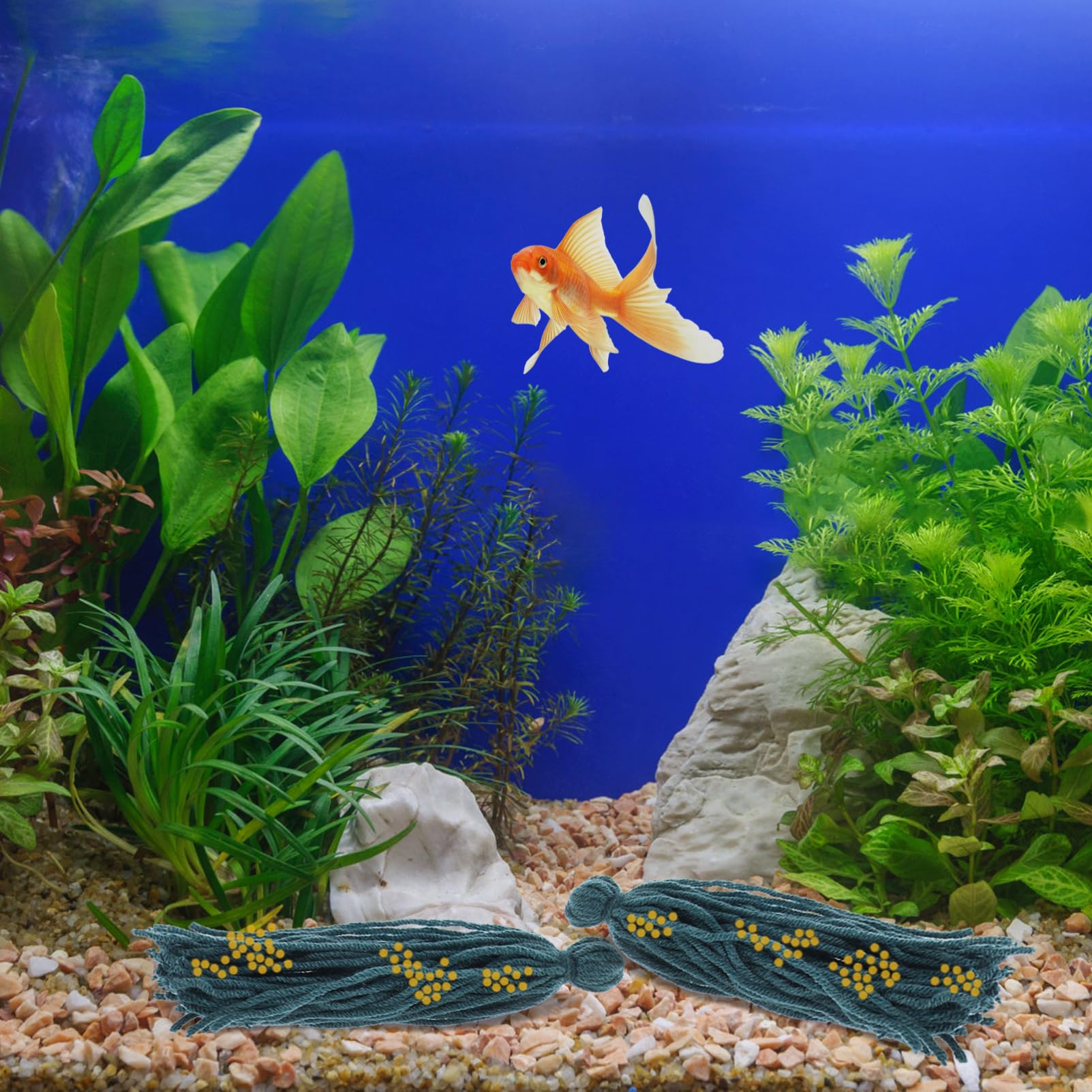 SEWOART 5pcs Fish Spawning Breed Mops Woolen Yarn Material Stable Floating Aquarium Tank Breeding Tool for Angelfish Colorful Fish Egg Laying Increase Reproduction Rate - Image 2