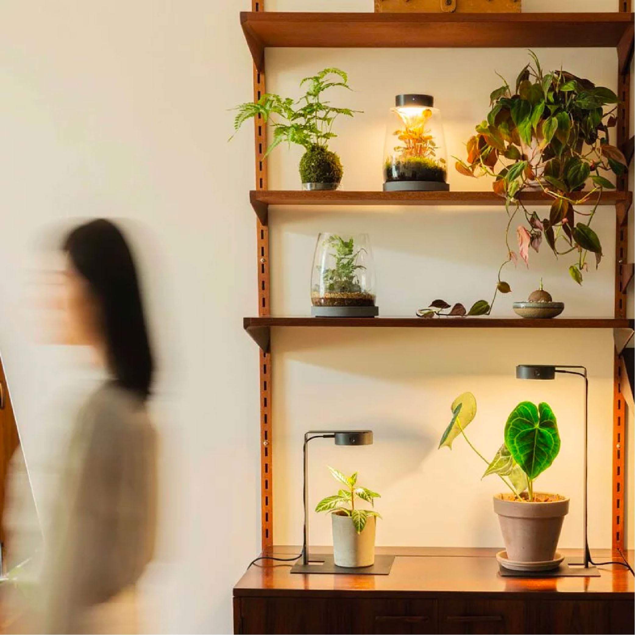 【在庫セール】ONF 植物育成ライト MIST O ブラック｜マグネット式LED Amazon.co.jp: ONF 植物育成ライト MIST O ブラック｜マグネット式LED