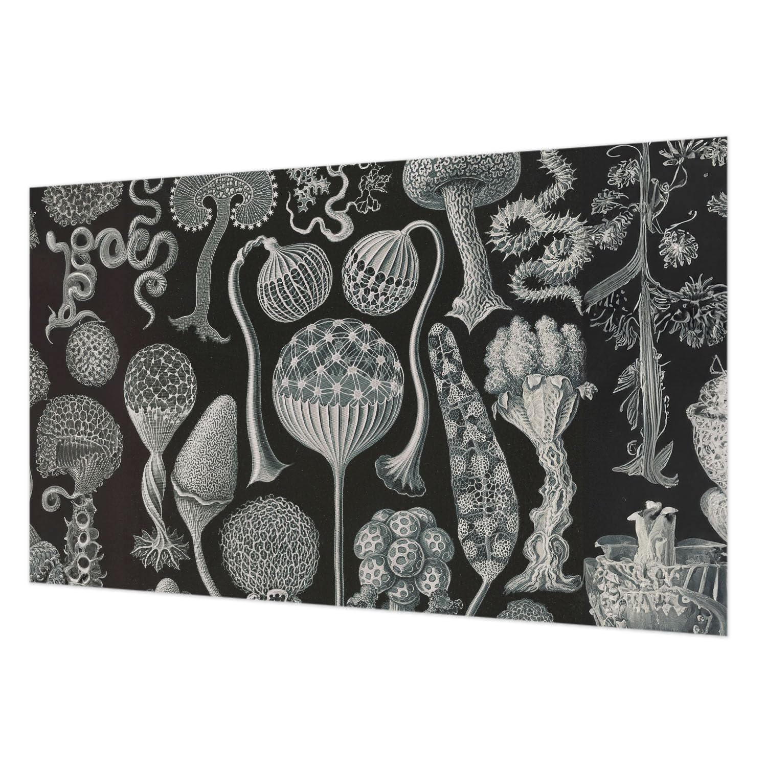 Papier peint intissé 416x254 cm Tulup plantes magiques avec colle pour salon