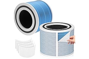 Core300-P Filter: Breathe Pure Air. Protect Your Home.