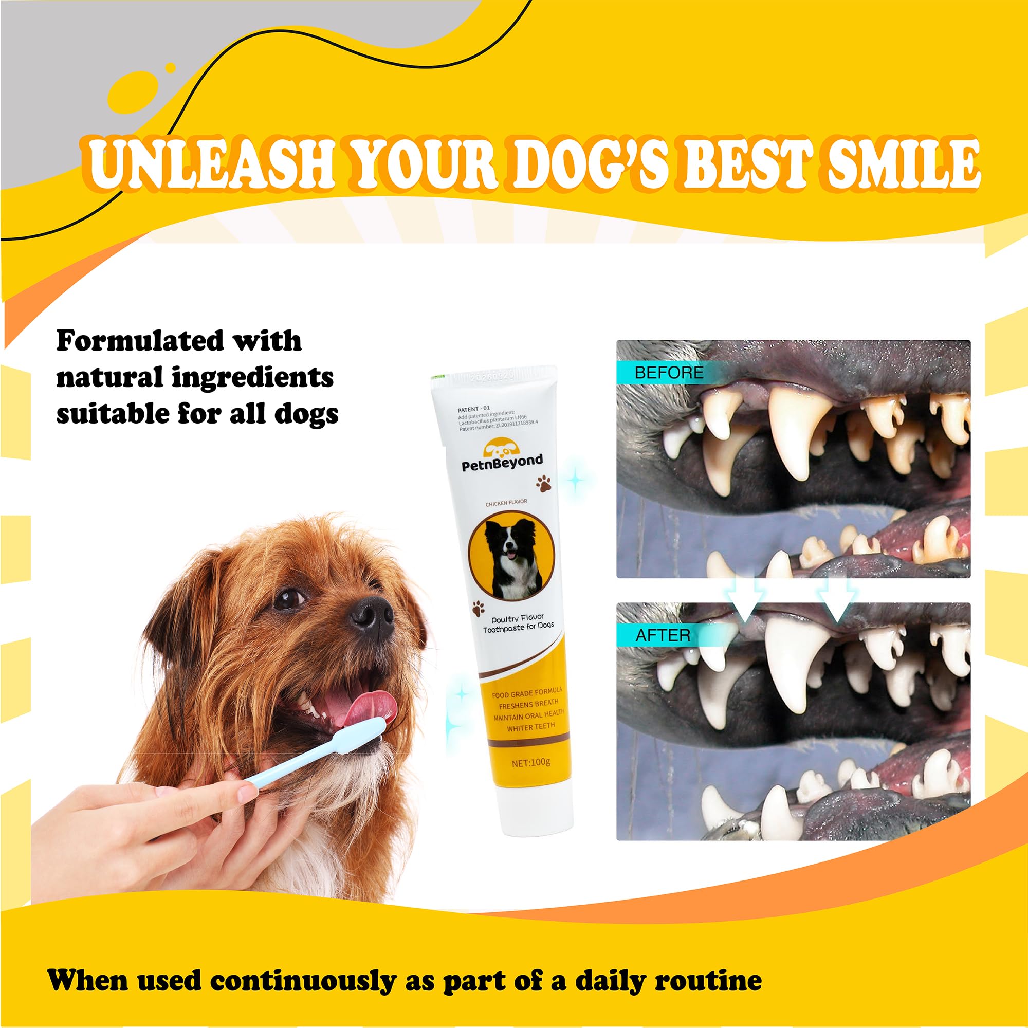 PetnBeyond Dog Toothpaste - Poultry Flavor Teeth Brushing Cleaner, Pet Breath Freshener, Oral Care, Professional Pet Toothpaste for Dogs and Cats. Controls Plaque, Tartar, Bad Breath, Reduces Plaque - image 5