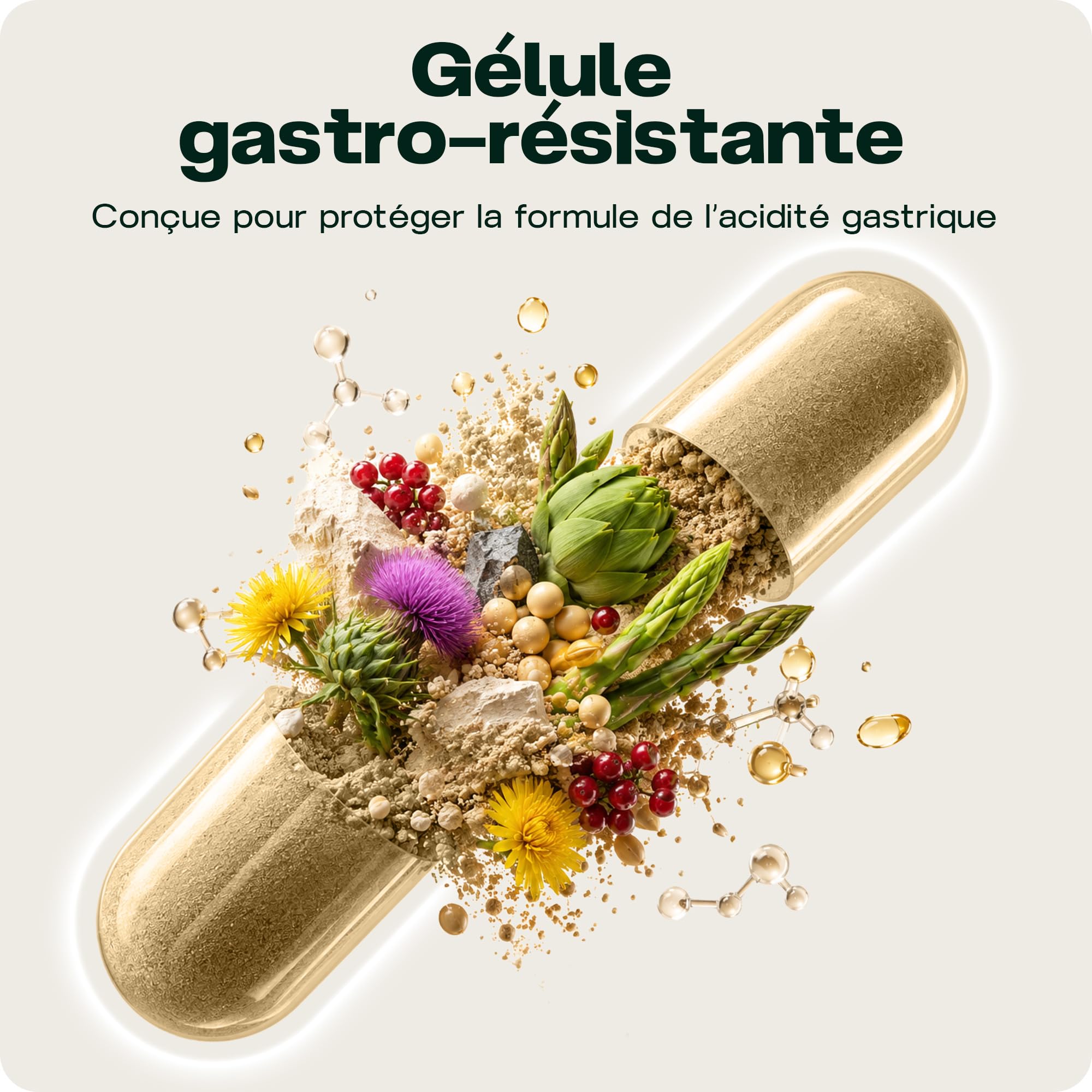 TUDCA 300 mg – Complexe Foie & Thyroïde | Avec Chardon-Marie, Choline, Glutathion Liposomal & Sélénium, 60 Gélules, Fabriqué dans l’UE