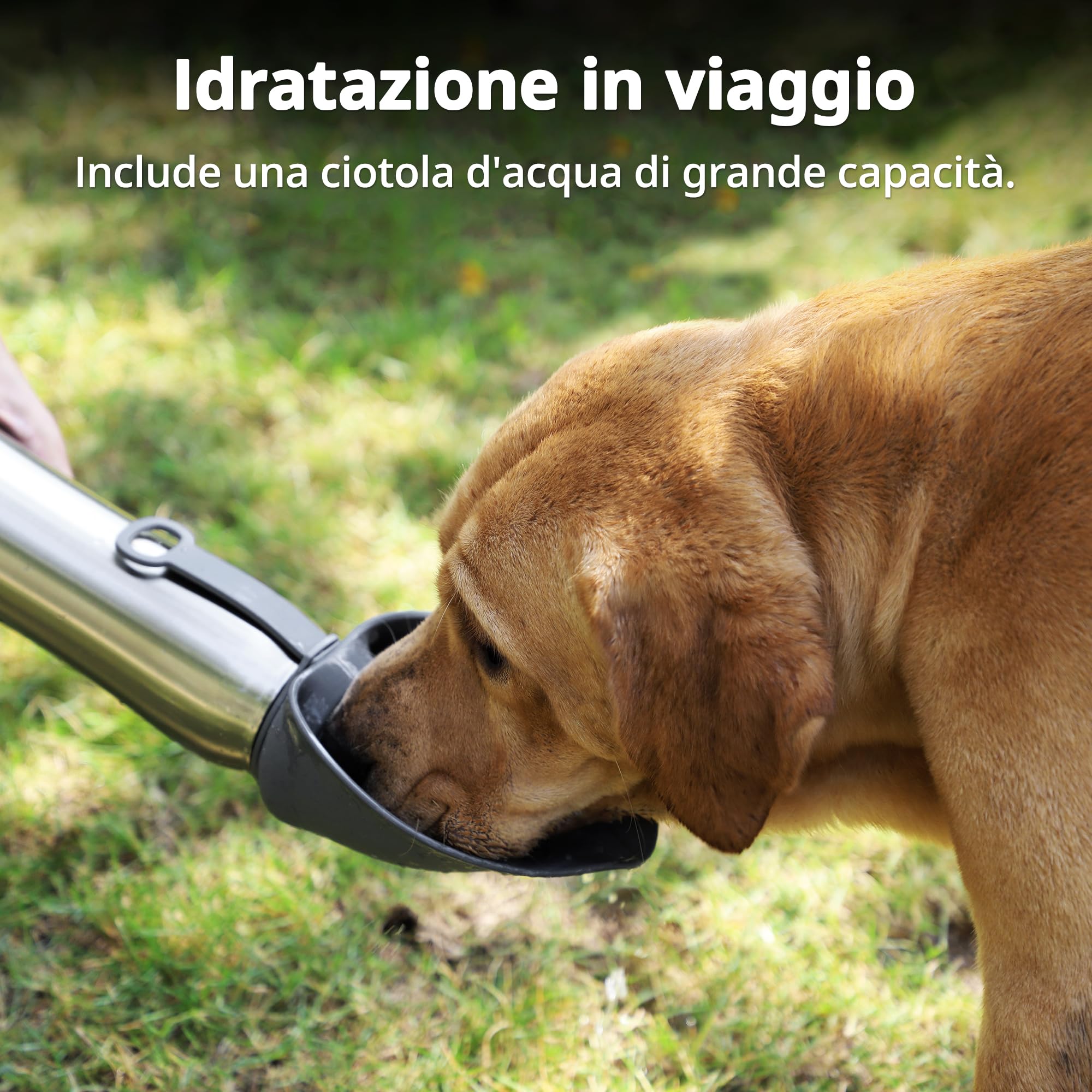 Borraccia Termica per Cani, 750 ml, Doppia Parete, per Passeggiate | 12 h caliente & 24 h frío, Cuenco plegable de silicona, Antifugas, Acero inox 304, Sin BPA, Para perros de todos los tamaños