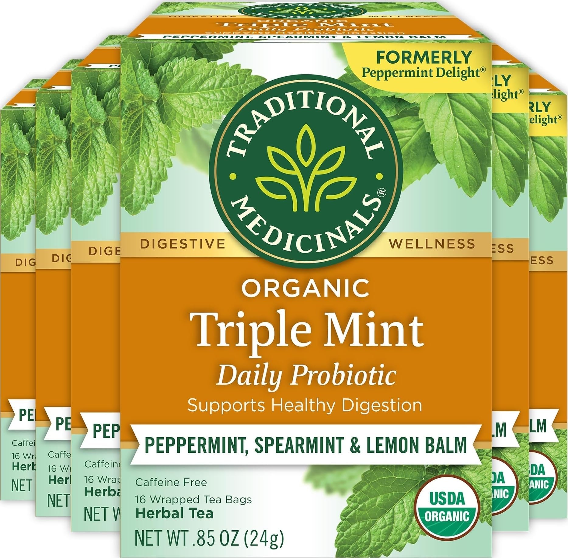 Organic Peppermint Delight Probiotic Tea