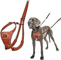 Vista 23 de Halti Arnés sin tirones: evita que tu perro tire de la correa. Ajustable, ligero y fácil de usar. Arnés reflectante de entrenamiento para perros