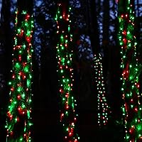 Vista 3 de TW SHINE Mini cadena de luces de Navidad, 20 pies, 100 unidades, incandescentes, mini luces de árbol de Navidad, impermeables, para exteriores