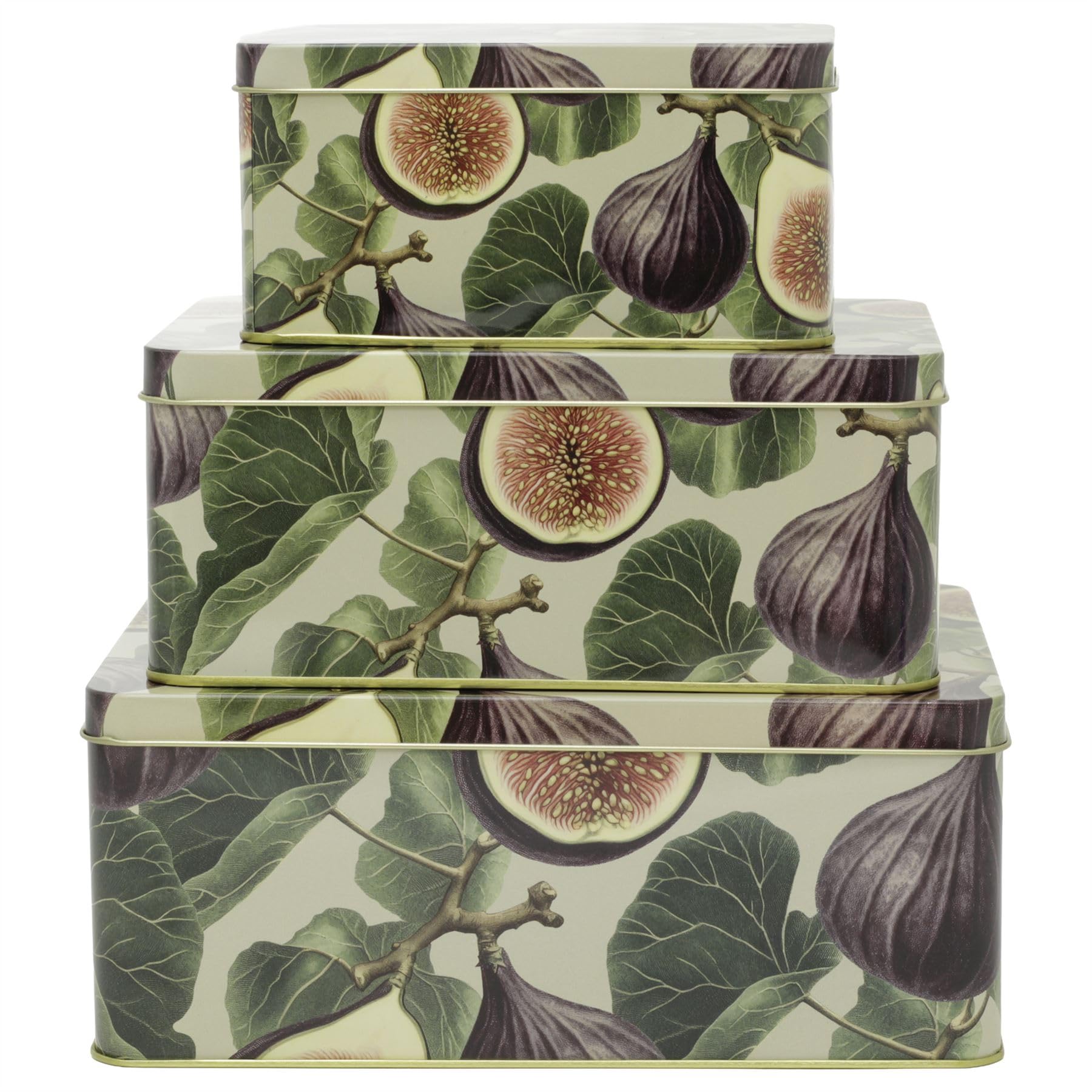 Botanical Set of 3 Fig & Pomegranate Rectangle Nesting Tins, 22 cm