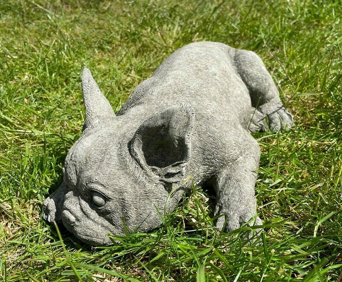 Un Pequeño Tratado De Psicología Animal. "Compagni Di Viaggio - Foto 8