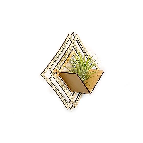Miniatura 3 de Wall Hanging Planter 5  Maple - Air Plant Holder, Plant Hanger for Tillandsia, Succulents, Cactus - Display Aerium Indoor Home Deco