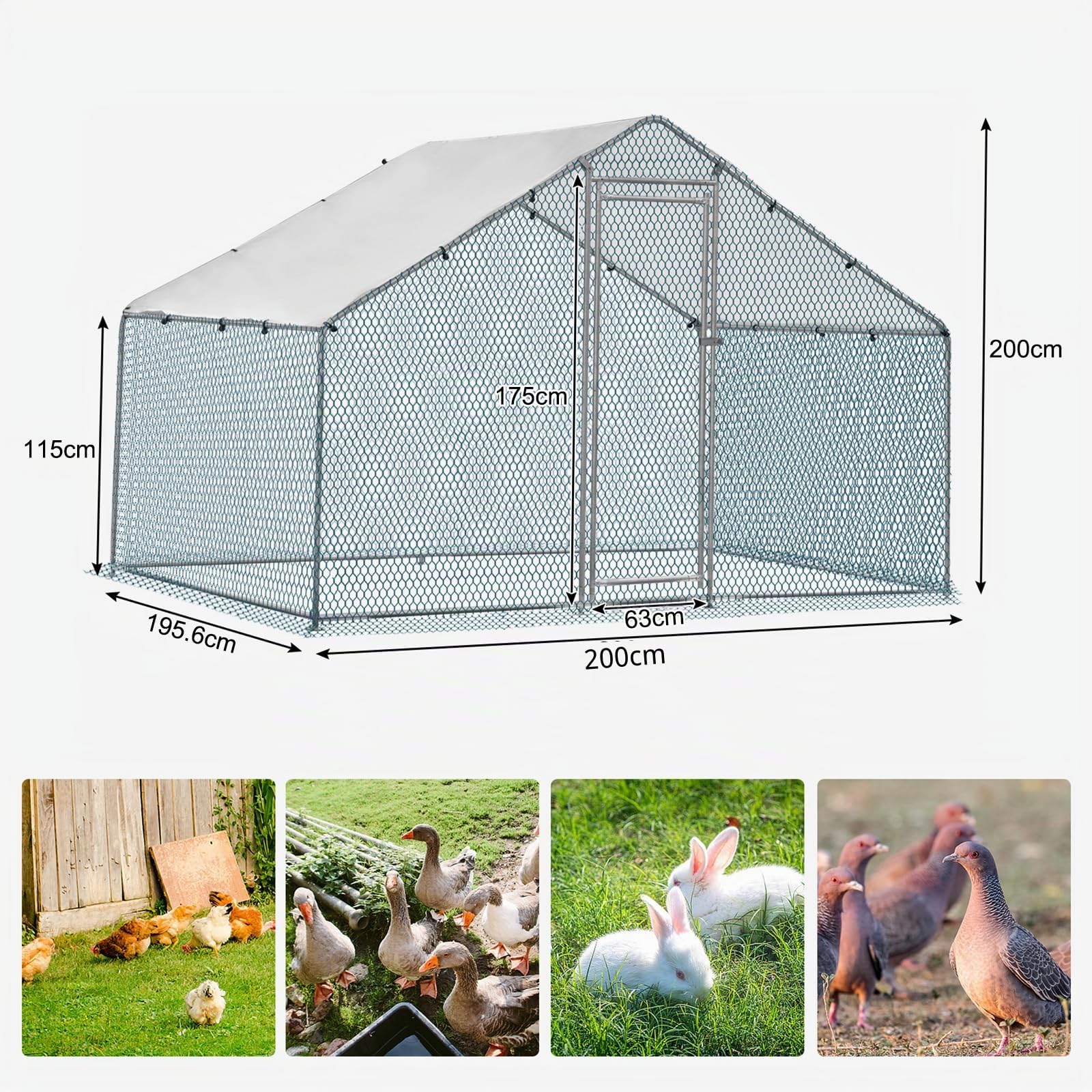 Enclos poulailler 2x2x2 m, 4 m²-Parc grillagé, Acier galvanisé, Argent, pinacle