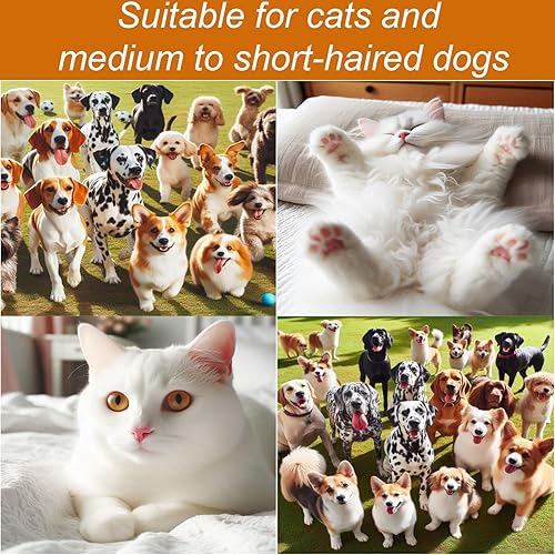 Miniatura 9 de Secador de pelo silencioso para mascotas de 300 W - Secador de pelo para mascotas para perros y gatos pequeños y medianos con peine extraíble y