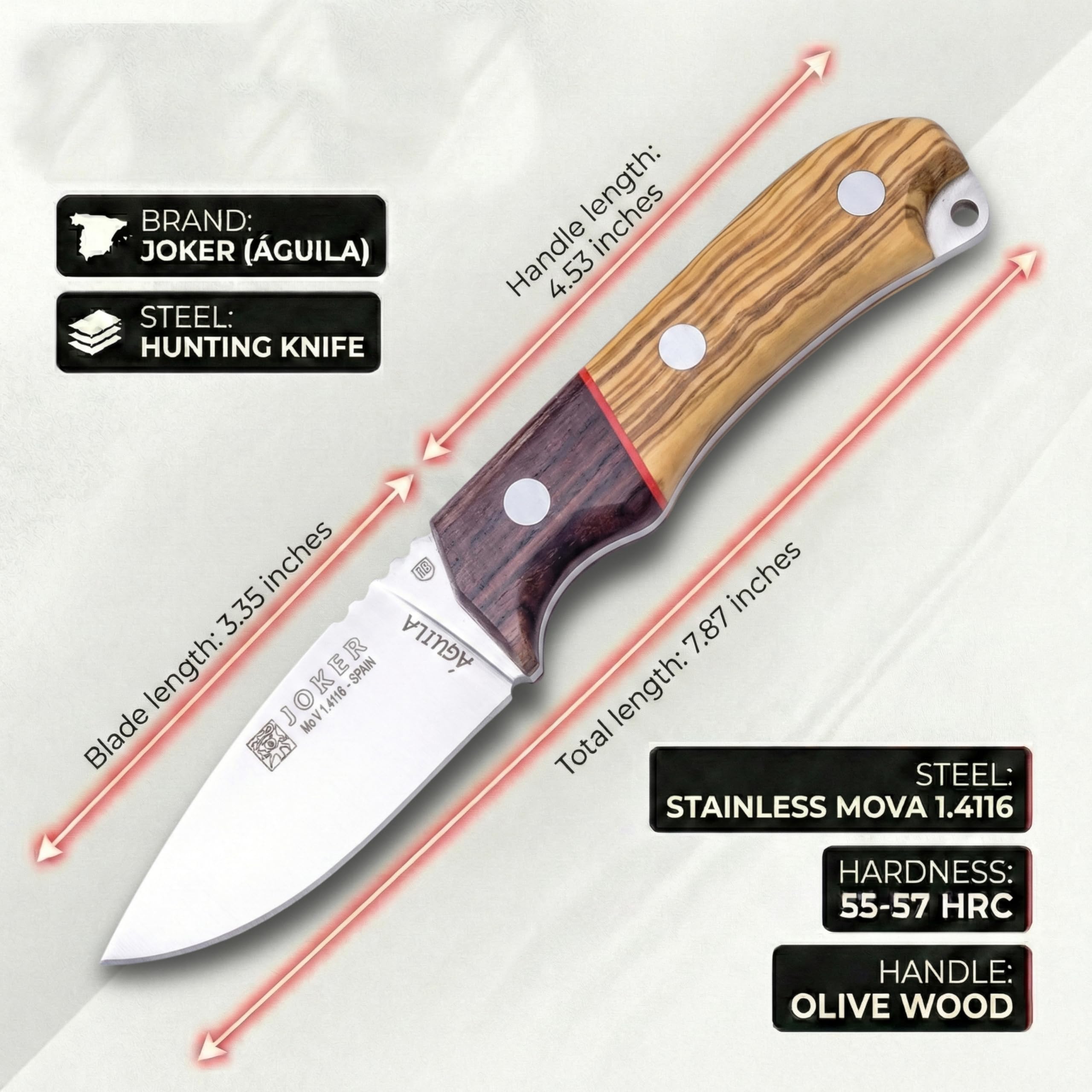 joker Coltello da caccia Aquila, con polsino in legno d'ulivo, lama MOVA 8,5 cm, include astuccio in pelle, palo santo ferrule, CO103 per attività di Pesca, l'Escursionismo, Il Campeggio