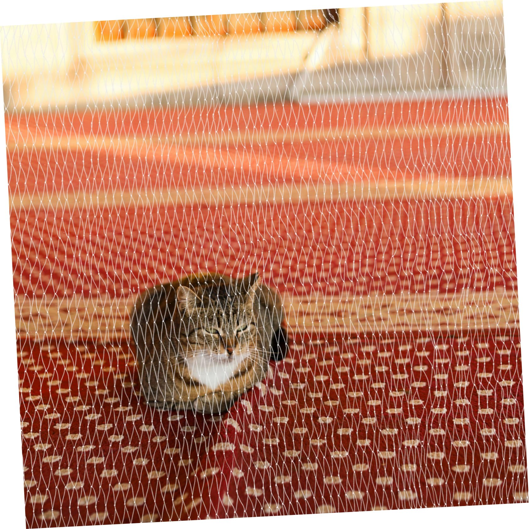 BESTonZON Drahtverstärktes Transparentes Katzennetz für Balkon aus Nylon Schutznetz zur Absturzsicherung für Katzen und Hunde ohne Bohren für Terrasse und Fenster