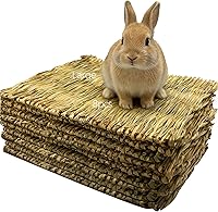 Vista 8 de Tfwadmx 6 alfombrillas de hierba de conejo de 16 x 11 pulgadas, alfombra grande de hierba marina tejida natural, cama para dormir para chinchillas