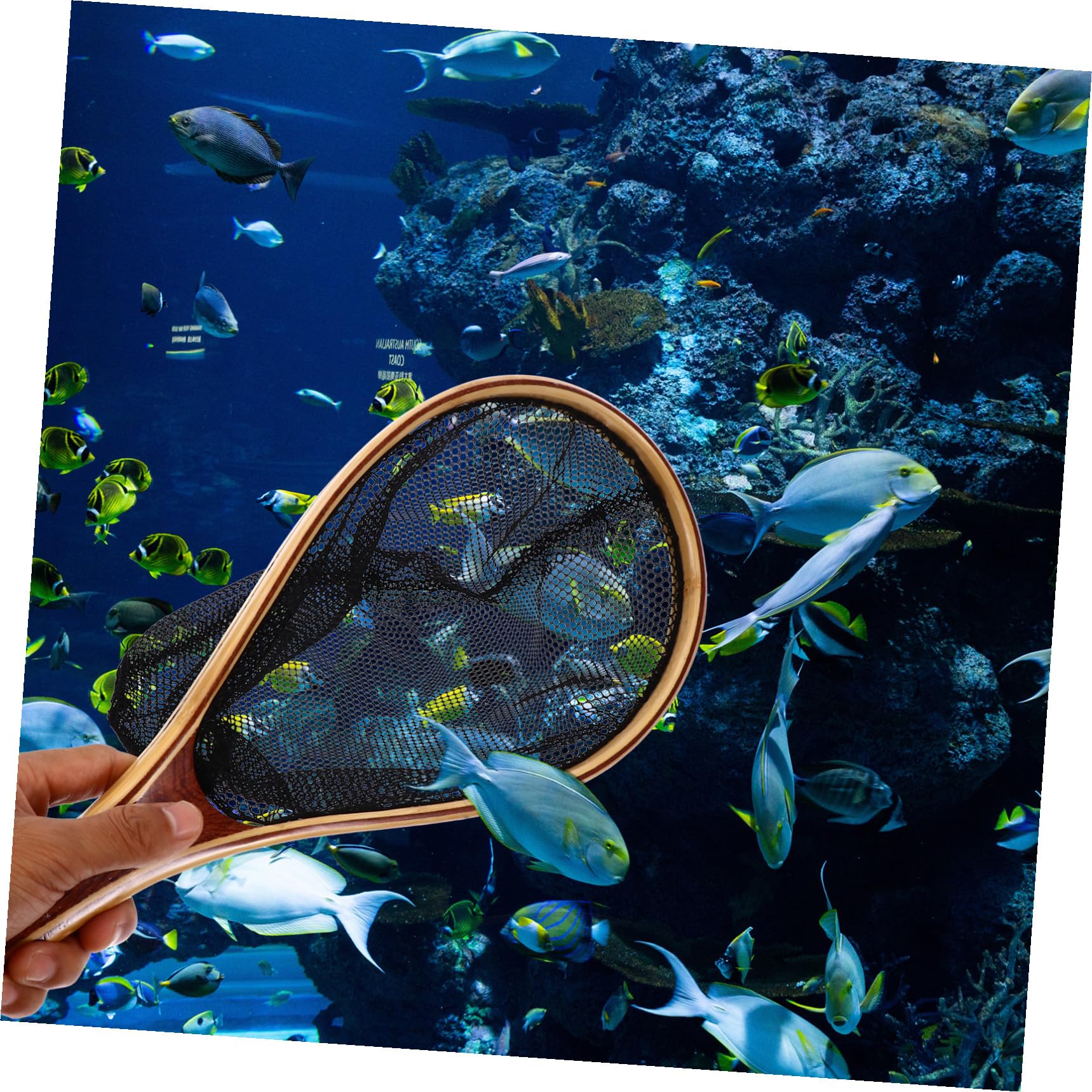 Toyvian Fliegenbindestock Kescher mit Bambusgriff und Faltbarem Schwarzem Netz Leichtes Fischernetz für Aquarium und Fischerei Zubehör mit Starker Praktikabilität