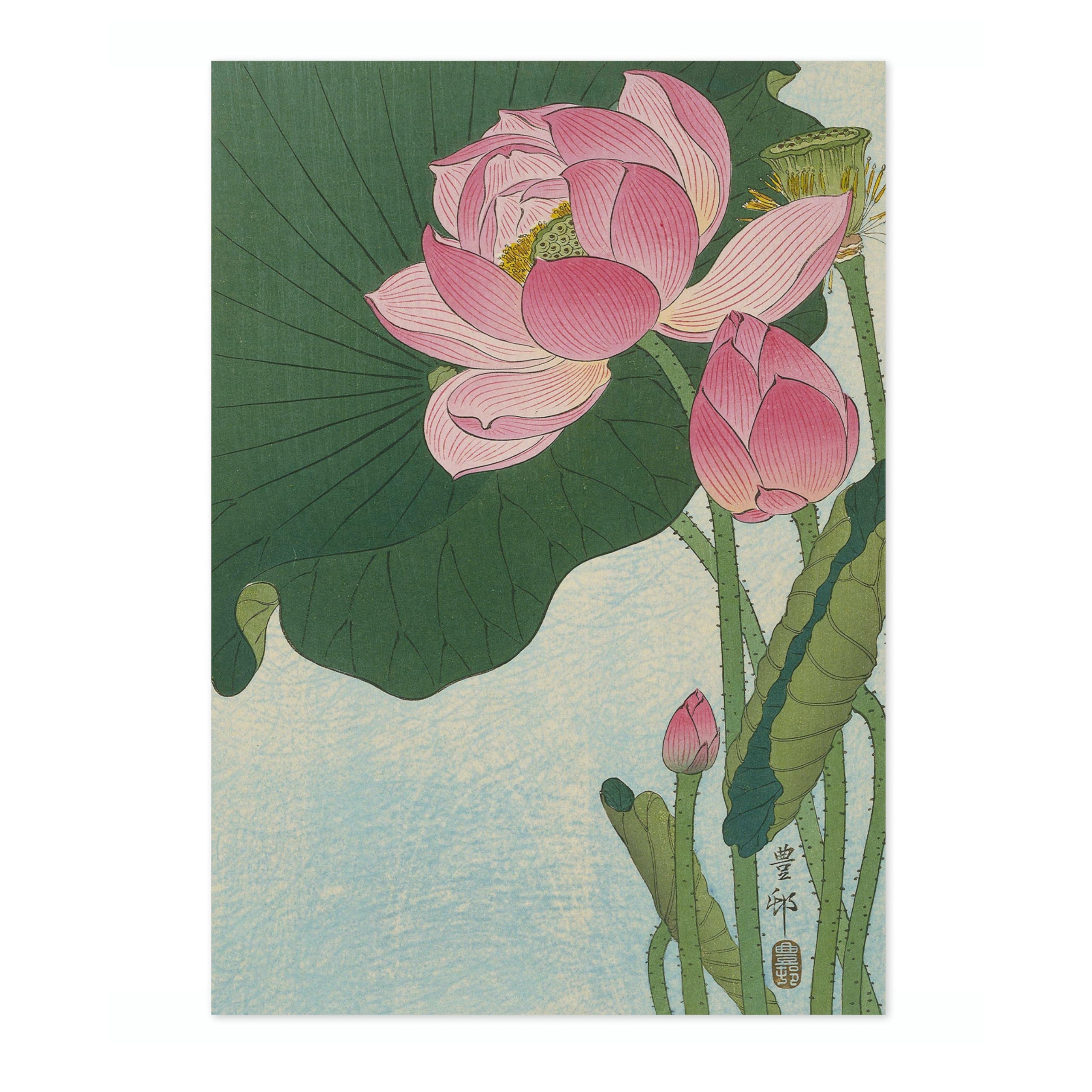 Blooming Lotus Flowers Ohara Koson Poster, Japanese Woodblock Ukiyo-E Print, Vintage Nature Art Picture Animal Painting Wall Art Exhibition, Japan Artwork Home Decor, A5 (Print Only) - 21x14.8cm