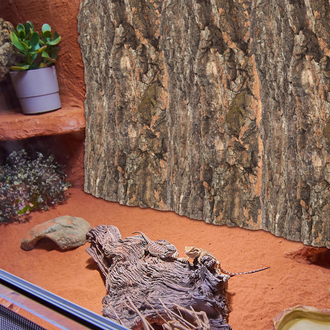 Housoutil Corteza de corcho de fondo 2 piezas de corteza de reptil terrario de corcho para lagartos, serpientes, arañas, cangrejos ermitaños, tarántulas, geckos, barbudos