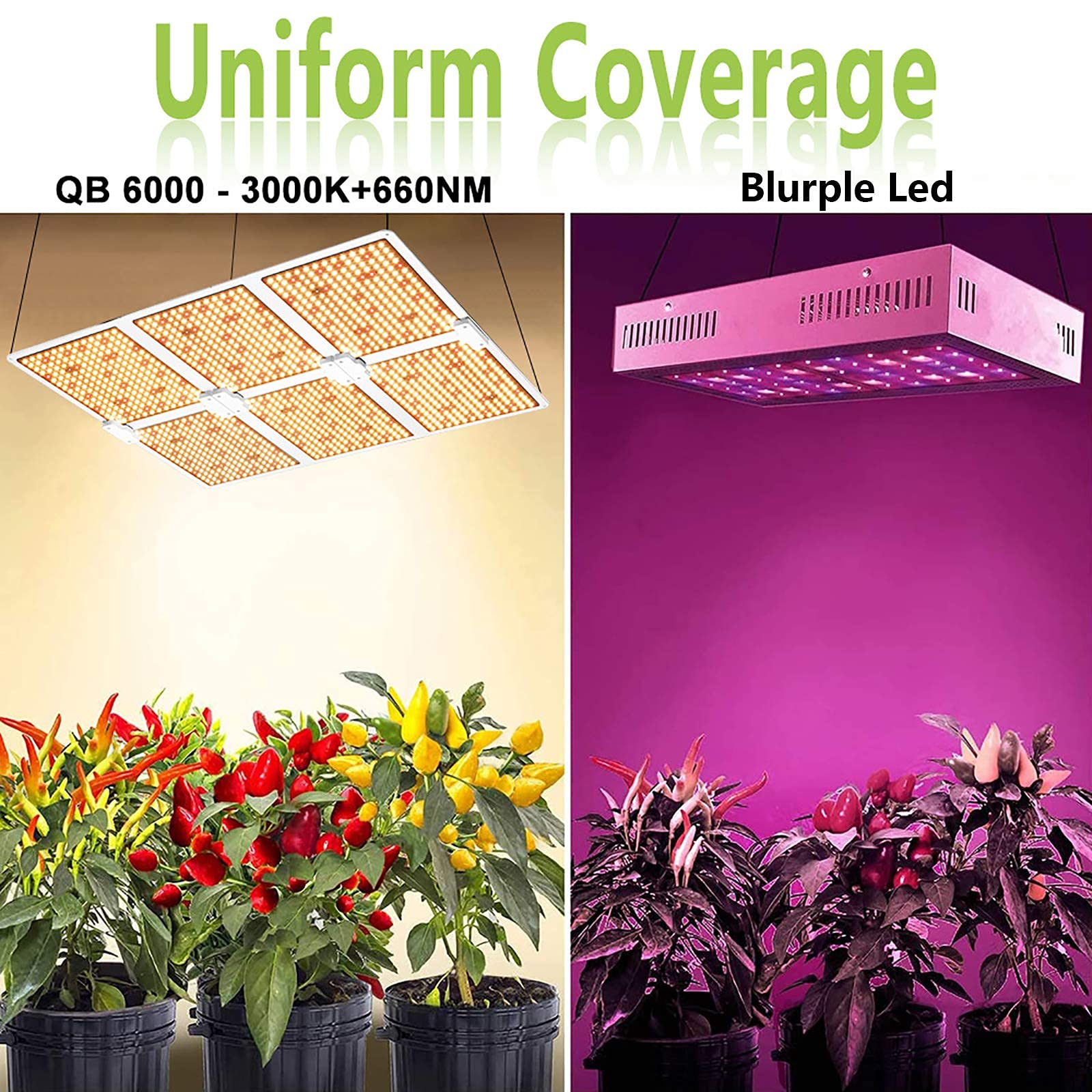 Luces de cultivo en interiores, luz LED para cultivo de plantas de 6000 W, luz de planta de espectro completo ajustable, potente sistema de disipación de calor para plantas de interior, cubierta ais