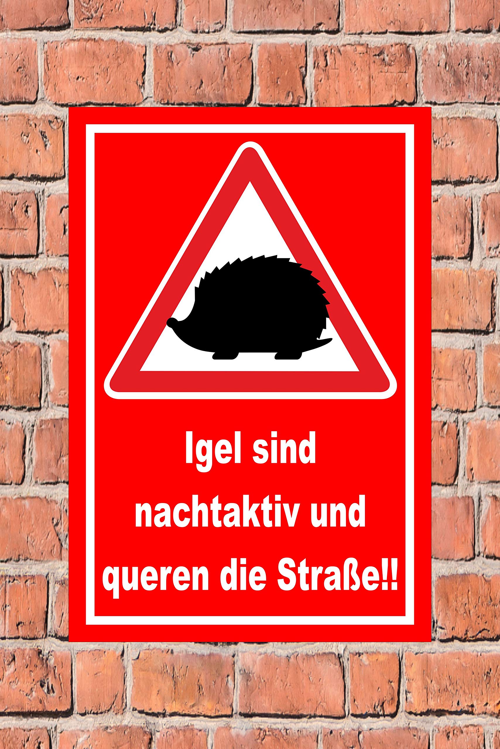 Melis-Folienwerkstatt 20 VAR S00359-182-D - Cartello Per Cani, 45