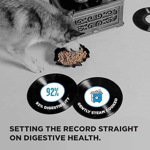 Miniatura 4 de BIXBI Liberty - Alimento seco para perros sin granos, pesca de pescador, 22 libras, pescado fresco, sin harina de pescado, suavemente al vapor y