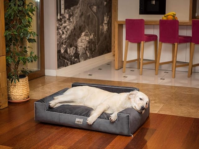 Foto 2 de 7 de Bjird Cama Perro - Cuna para Perros para Dormir, con Funda de Cordura Extraíble (Lavable a 30°)