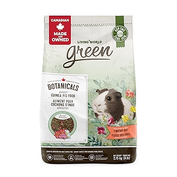 小鼠绿植成年豚鼠粮食