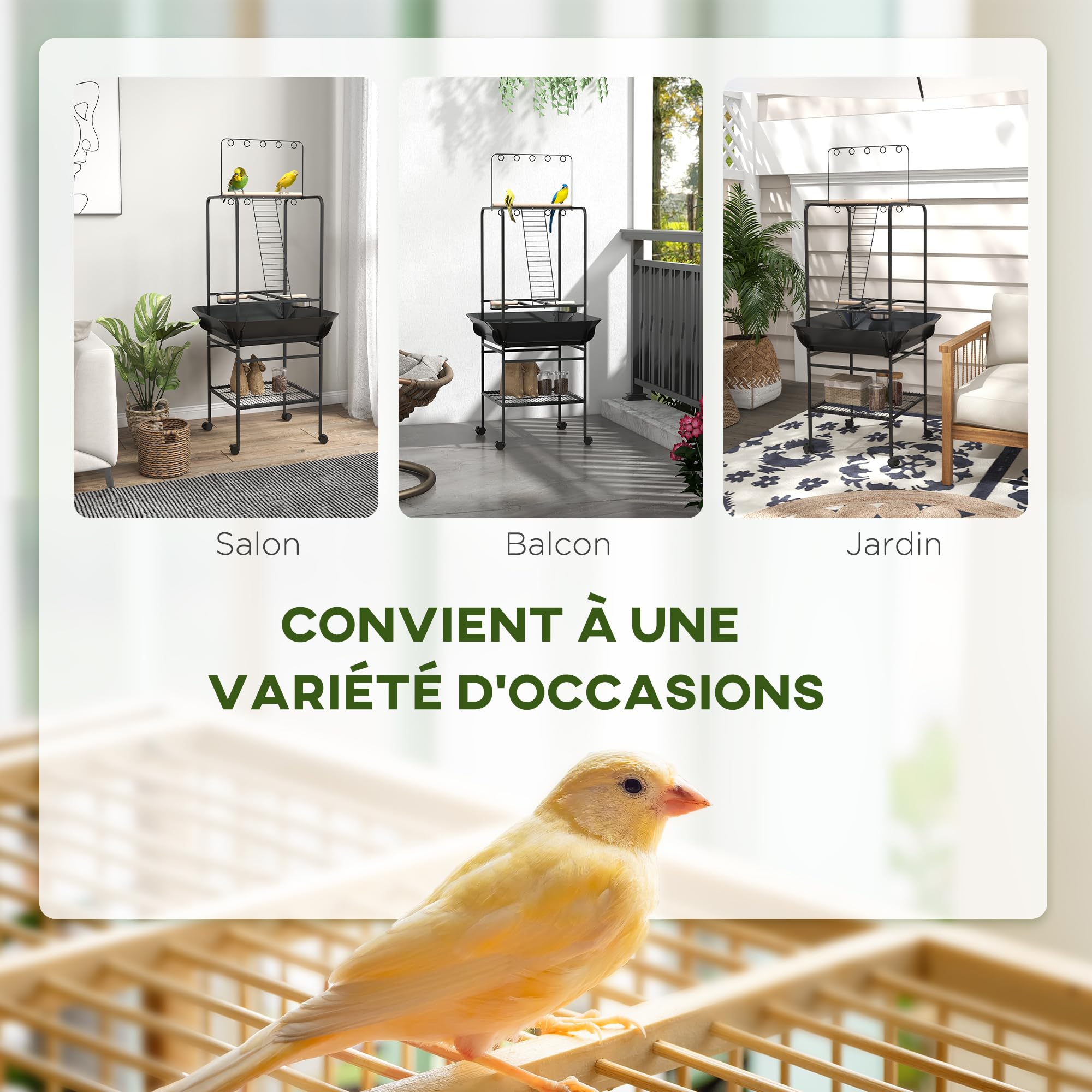 PawHut Aire de Jeu pour Oiseaux avec Perchoirs en Bois, Échelle, Mangeoires INOX, Bac Coulissant, 62,5 x 62,5 x 155 cm, Gris foncé