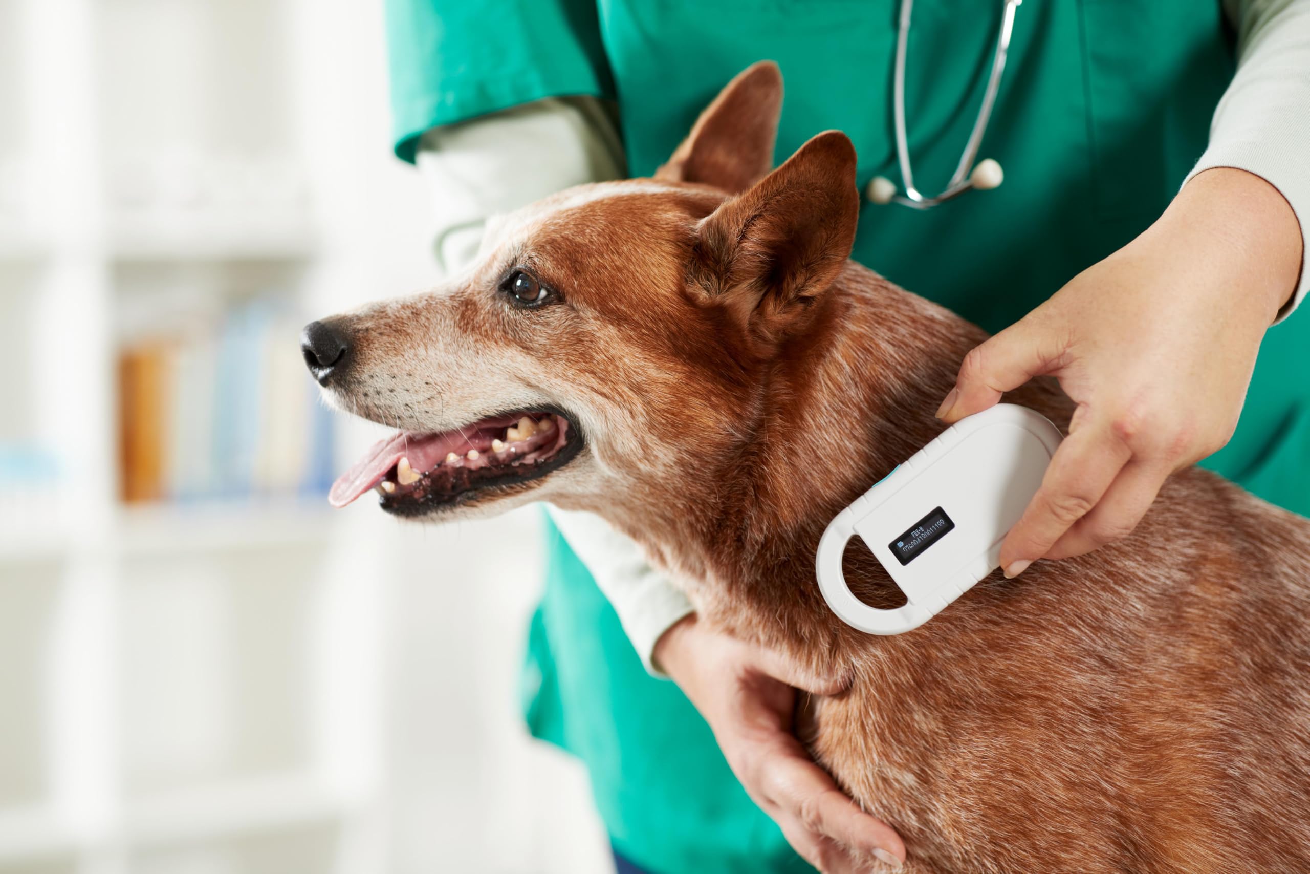 Lecteur de puce animale lecteur de chiple pour animaux, puce RFID micropuce animale transpondeur ISO pour identifier les animaux