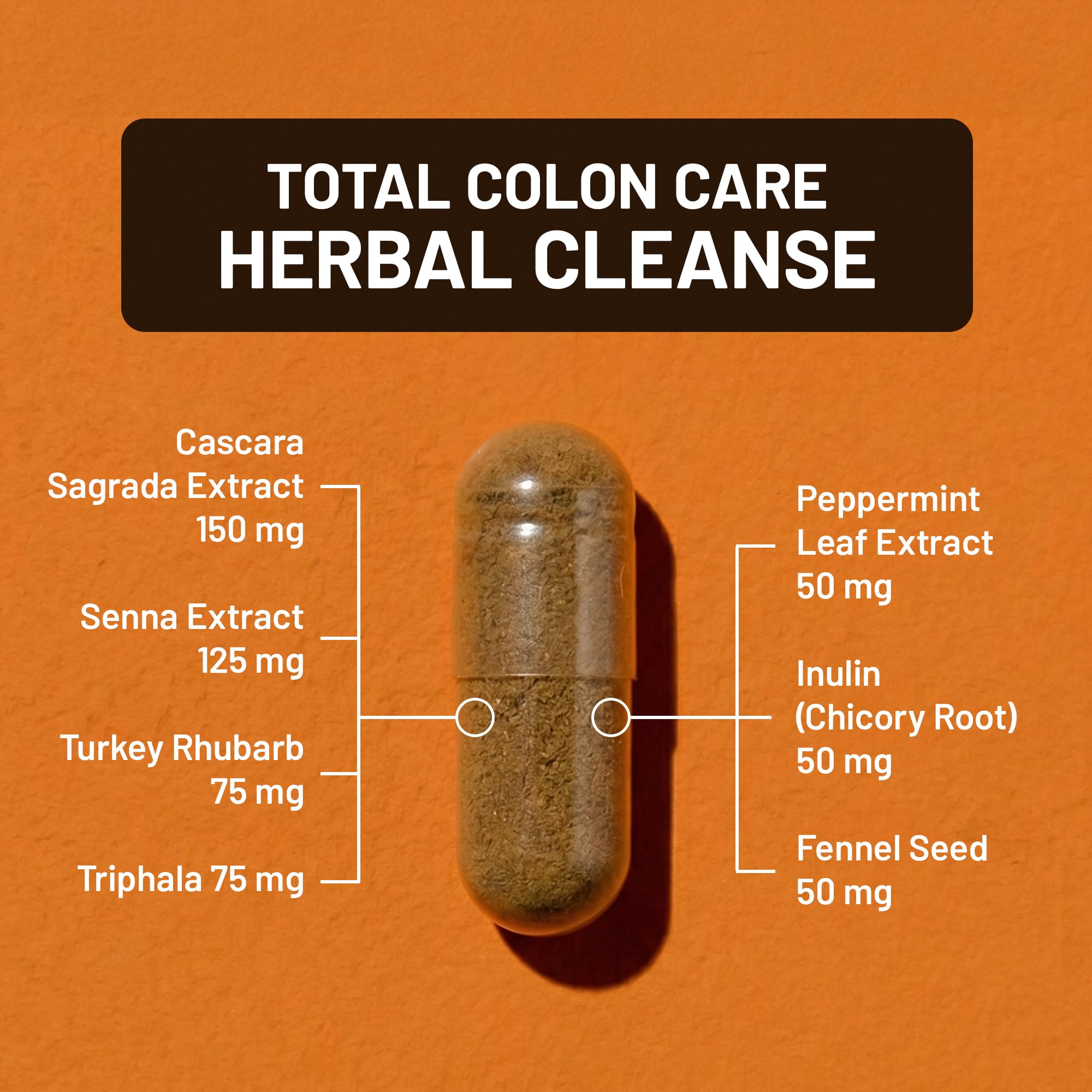 Naturewise Total Colon Care Herbal Cleanse - With Prebiotics, Botanicals, & Antioxidants - for Regular Bowel Movement, Digestion, Gut Health - Vegan, Gluten-Free, Non-GMO - 60 Capsules[2-Month Supply] — Amazon image 3