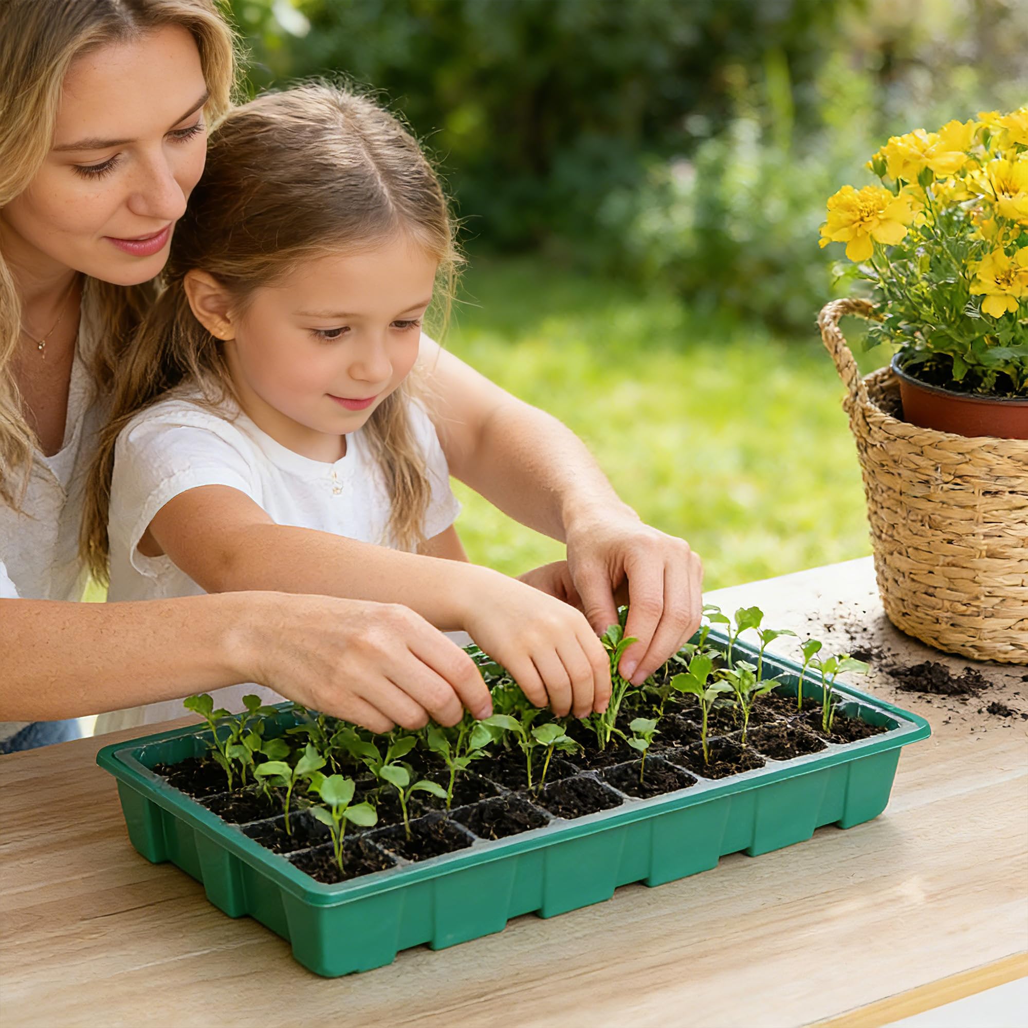 Kit de démarrage de graines avec plateau de démarrage de semences avec dôme d'humidité, kit de démarrage de plantes et mini kit de germination de serre pour démarrage de graines A1