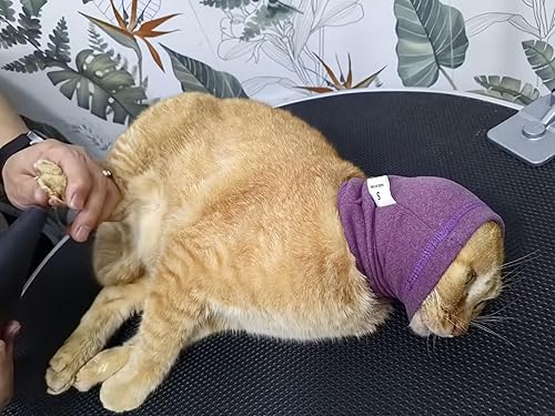 Vista 124 de Cat Head Cover Noise Protection When it Grooming Hematoma Ear Wrap for Cats Wine+Purple S