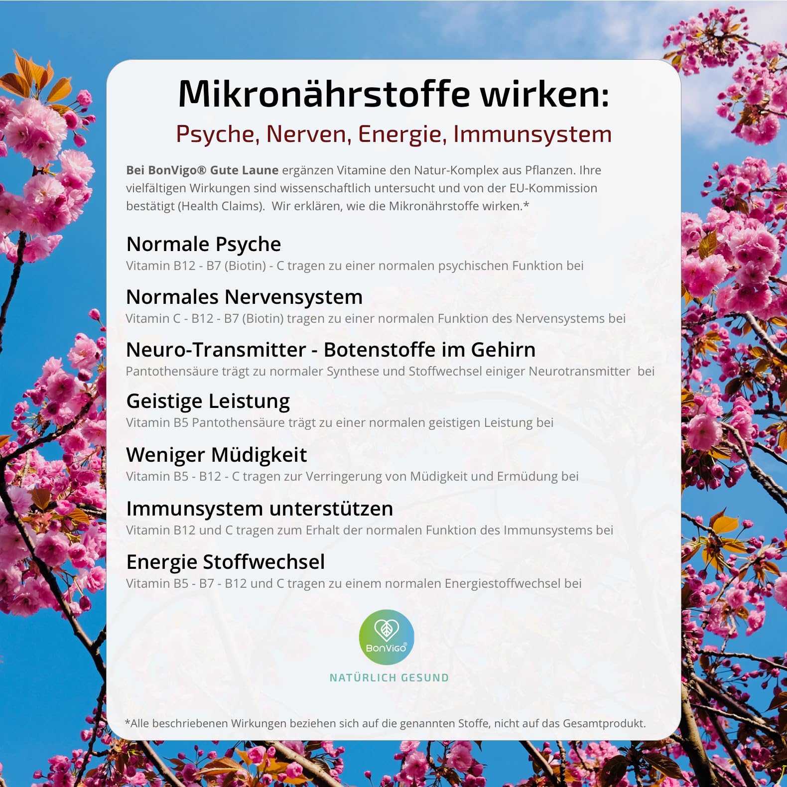 GUTE LAUNE - Normale Funktion Nervensystem & Psyche unterstützen (Vit. B7 B12), die Gehirn-Botenstoffe (Vit. B5) - Natur-Komplex Lavendel Passionsblume Melisse, Tryptophan, 120 Kapseln