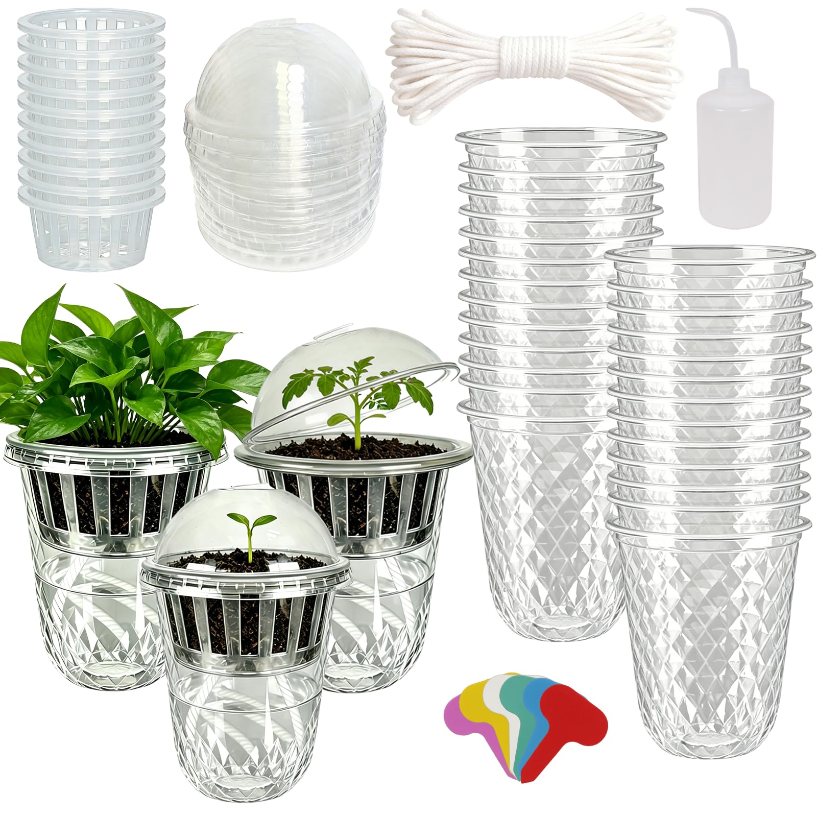 Pots de germination transparents avec réserve d'eau et motif diamant chic
