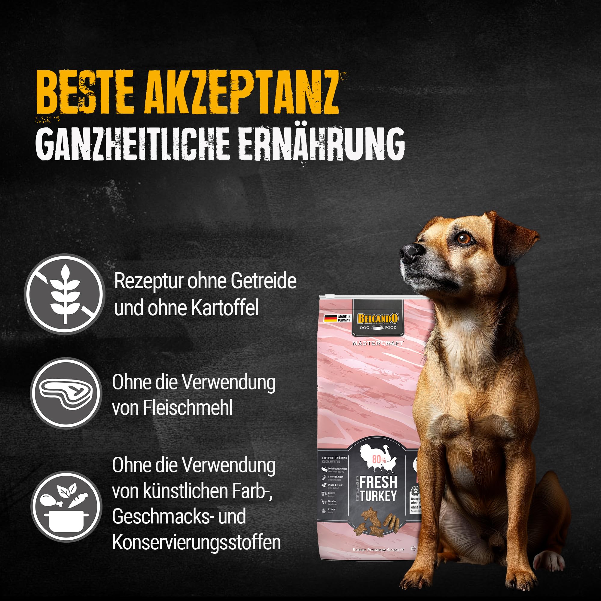 BELCANDO MASTERCRAFT Hundefutter trocken Fresh Turkey, 10kg, Trockenfutter für Hunde mit Truthahn, 80% Frischfleisch, getreidefrei, für alle Rassen, Made in Germany