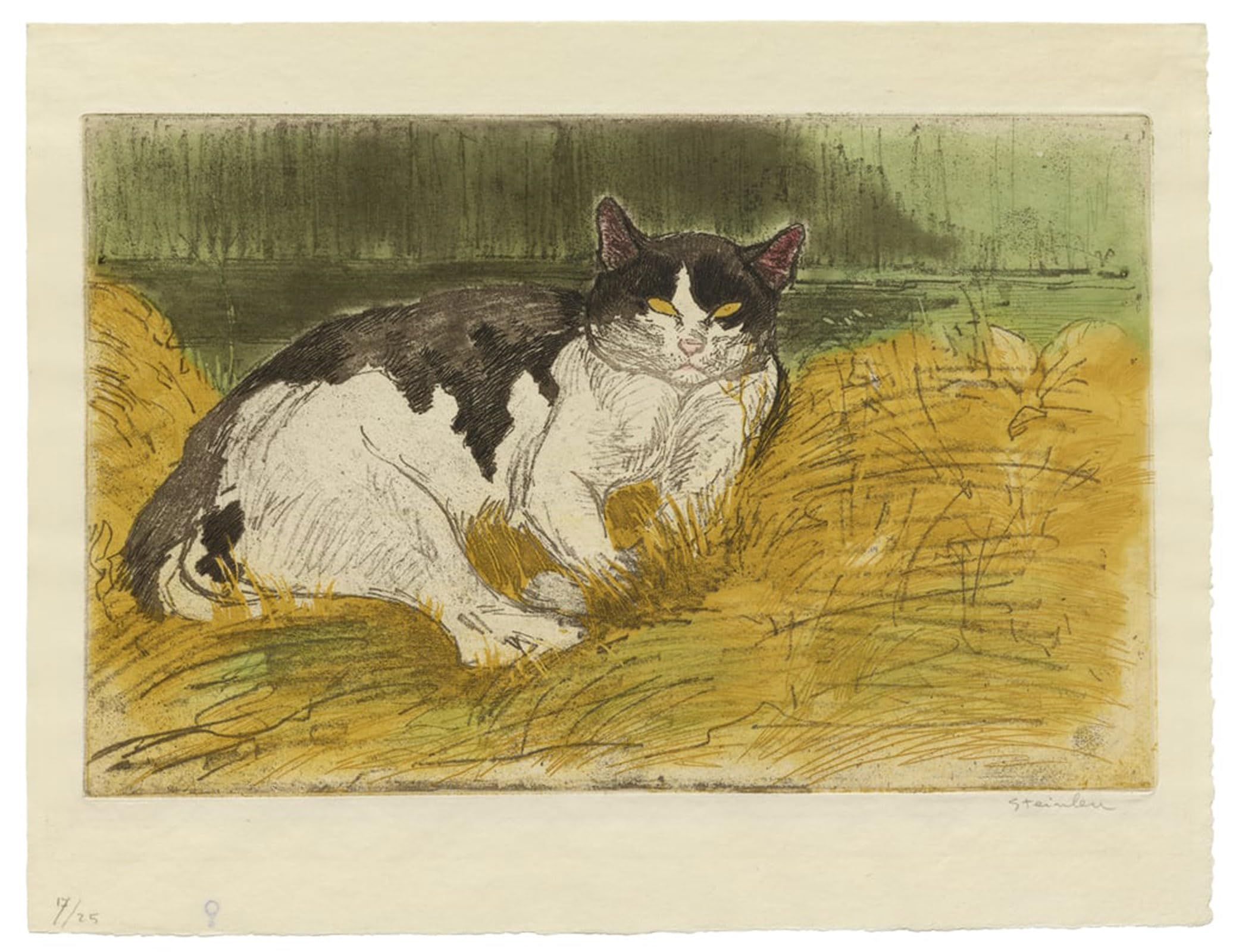 Posteriik No Frame Famous Animal Posters Vintage Picture Old Black And White Cat In The Grass By Théophile Alexandre Steinlen Modern Wall Decor For Home Decor 60X90cm