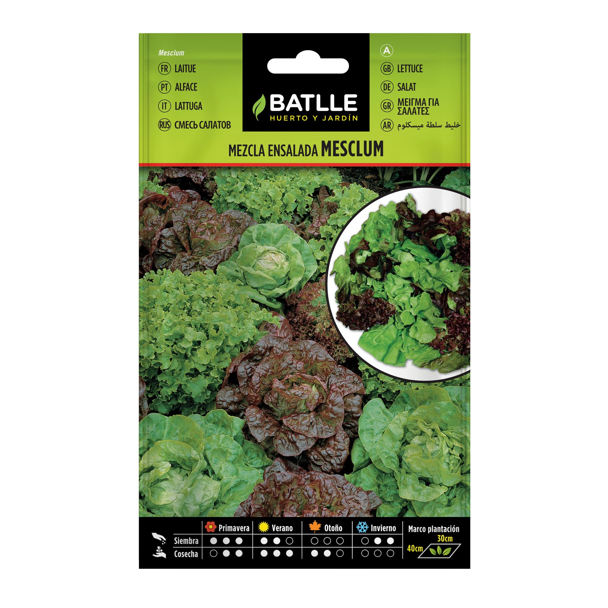 Semillas Batlle Mezcla de Ensaladas MESCLUM