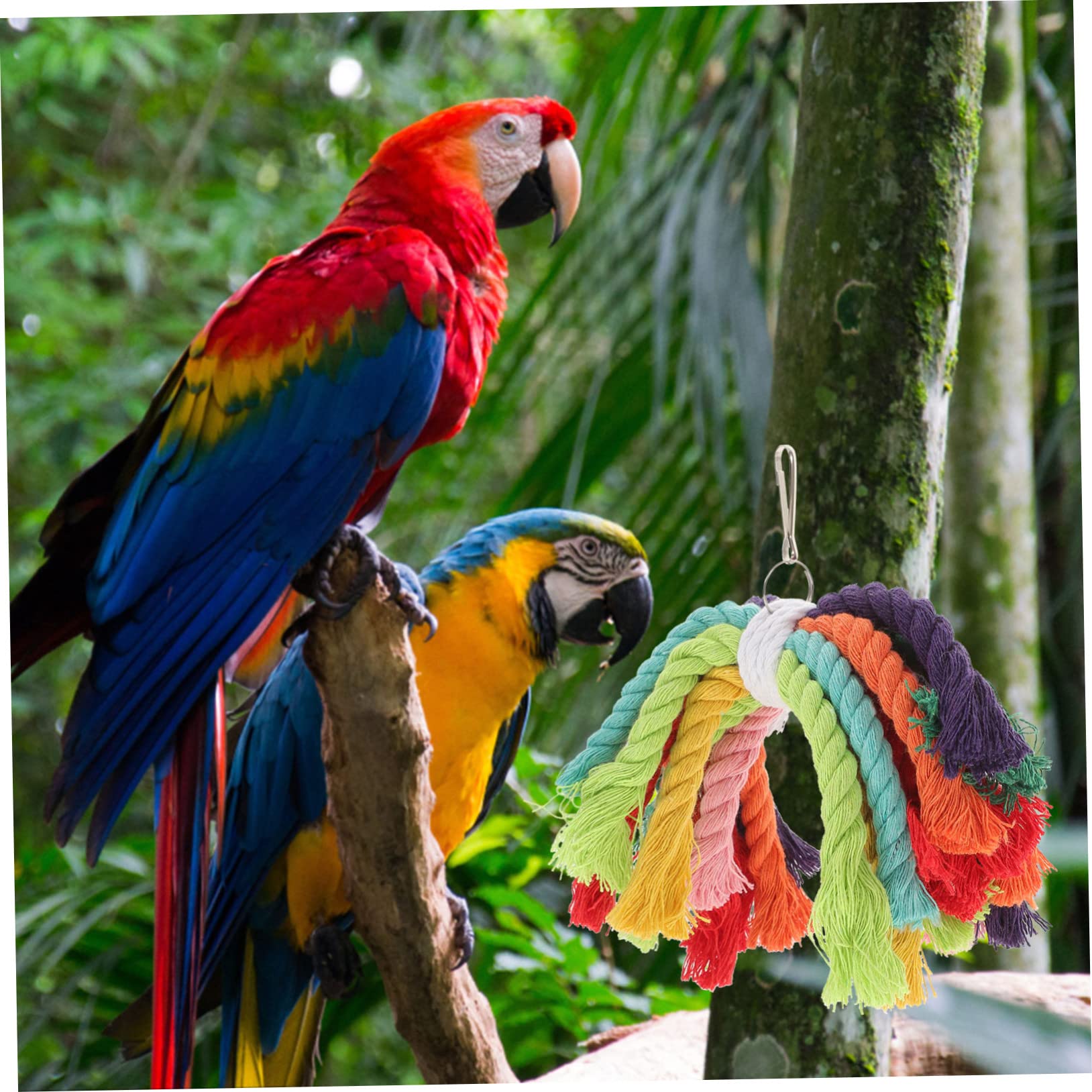 ABOOFAN 5pièces Jouet à Mâcher Coton pour Perroquet Accessoire De Jeu Sécurisé pour Oiseaux Convient Aux Perroquets Cacatoès Et Petits Oiseaux Installation Facile avec Boucle