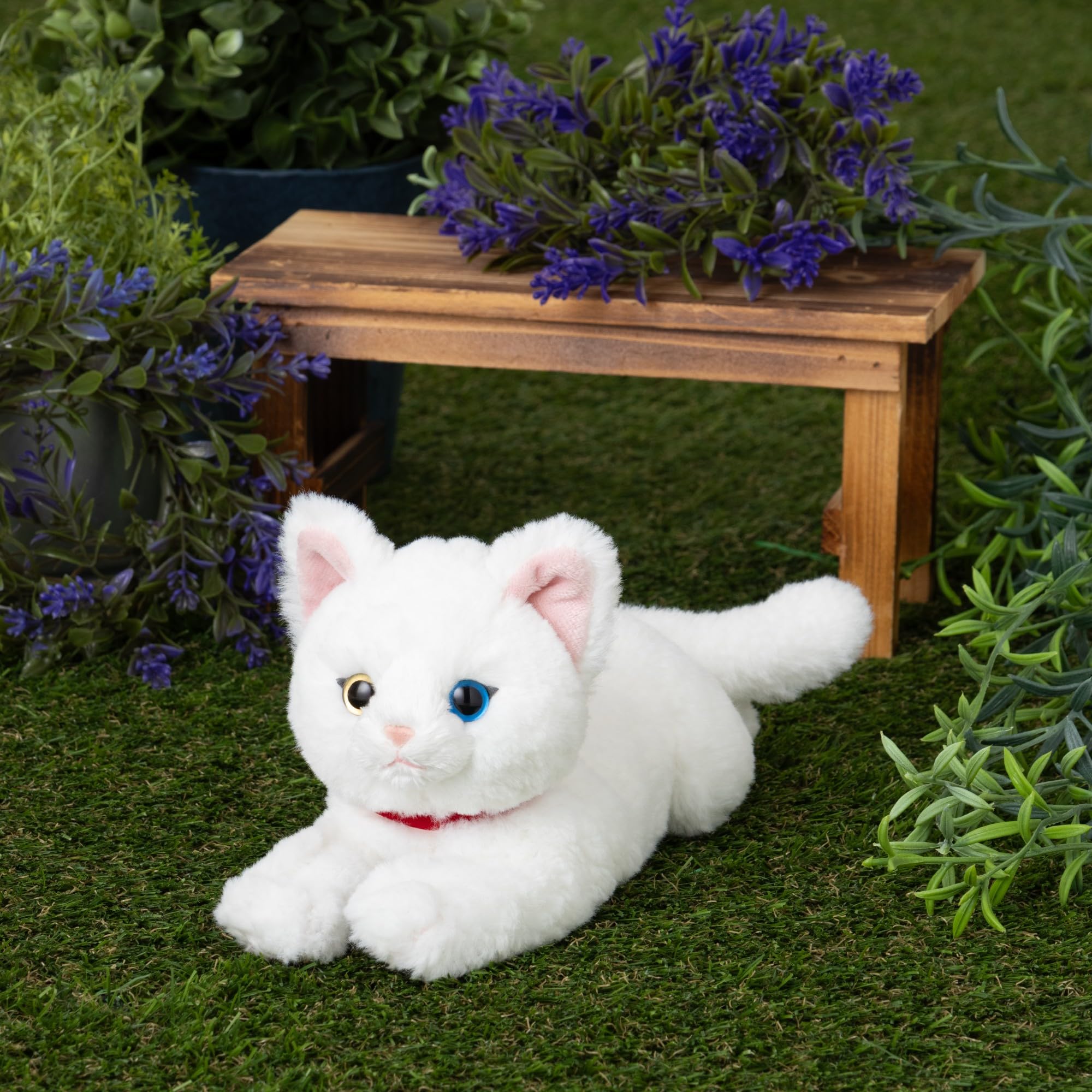 Amazon.co.jp: サンレモン ひざねこ オッドアイ WH SS 11×29×12cm